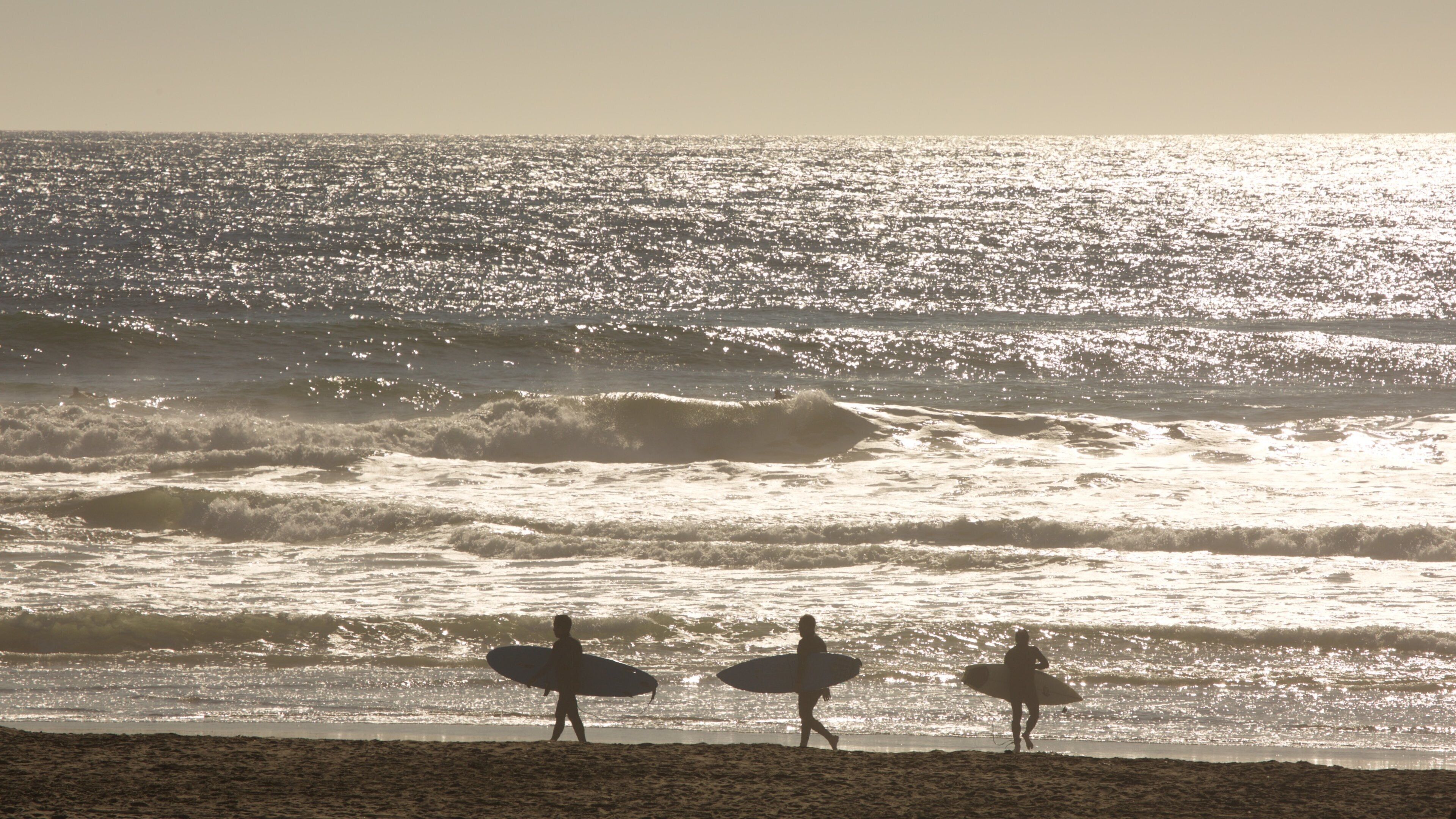 Ocean Beach showing general coastal views, a sandy beach and surfing