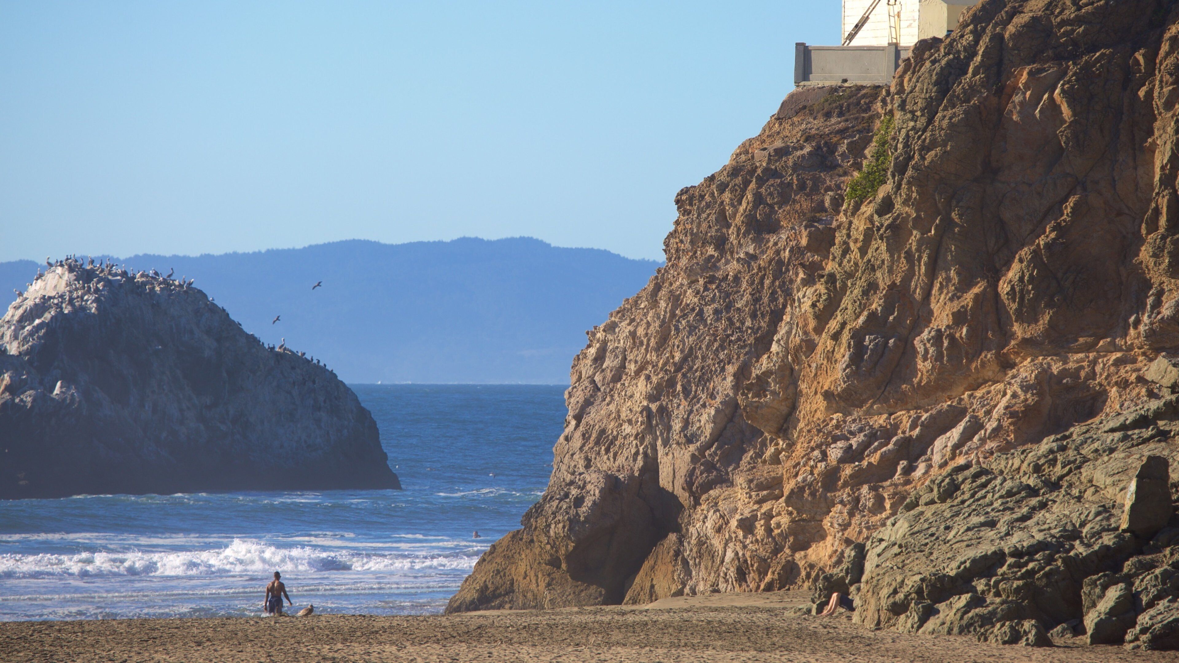 Ocean Beach showing landscape views, a sandy beach and rugged coastline
