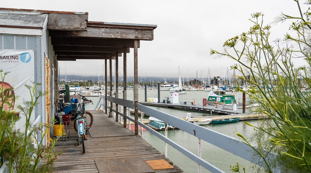 Berkeley Marina featuring a bay or harbor