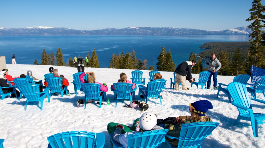 ããŒã ãŠãã ããŠã³ãã³ ãªãŸãŒã 衚瀺 é«çŽããã«ãããã¯ãªãŸãŒã, éª ãš ããŒã