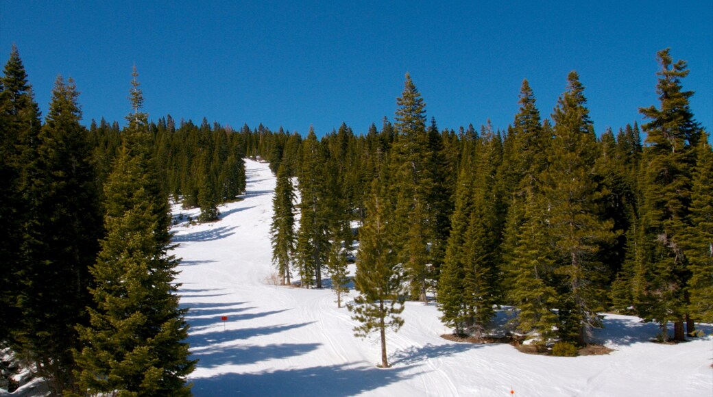 霍姆伍德避暑山庄