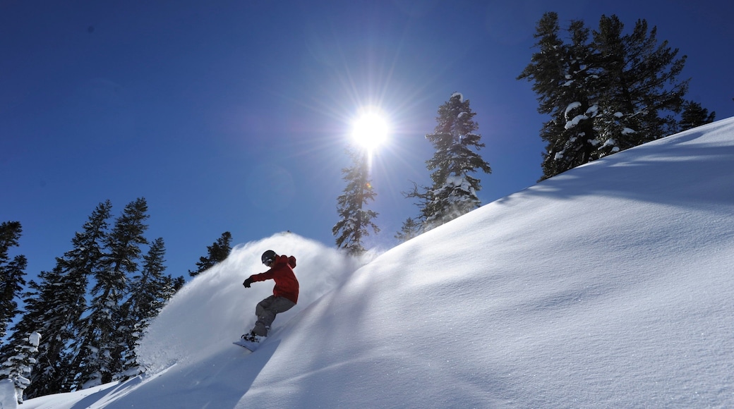 Northstar California Resort featuring snow boarding and snow as well as an individual male