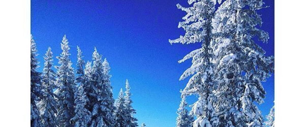 I grew up in Northern California and was fortunate to live fairly close to Tahoe. Northstar is one of my favorite places. The view from the top on a nice sunny day is amazing. There is also a nice village at the bottom of the mountain with tons of shops and restaurants.