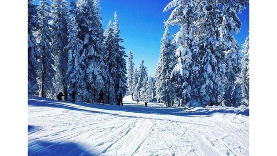 I grew up in Northern California and was fortunate to live fairly close to Tahoe. Northstar is one of my favorite places. The view from the top on a nice sunny day is amazing. There is also a nice village at the bottom of the mountain with tons of shops and restaurants.