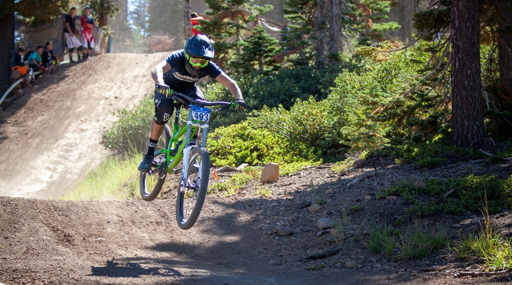 Northstar California Resort som viser terrengsykling i tillegg til en mann