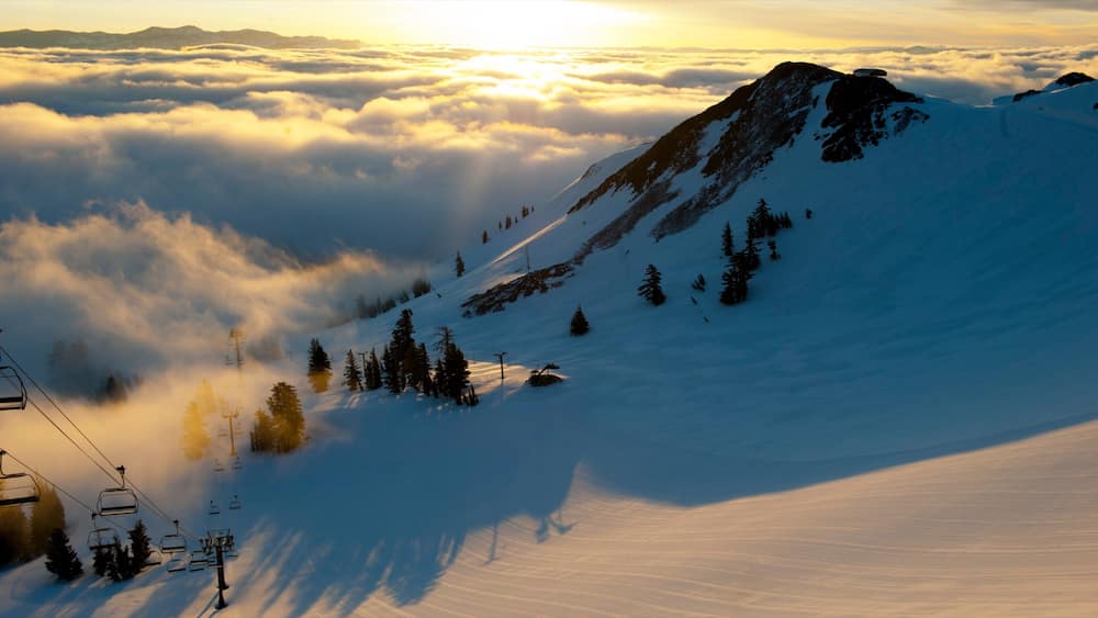 A snow-covered mountain with a ski lift and trees.