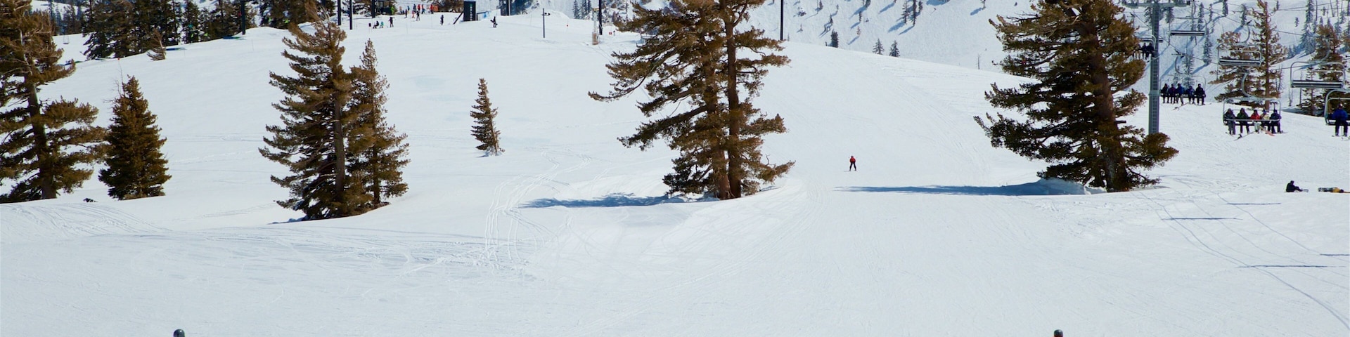 Squaw Valley Resort que inclui cenas tranquilas, esqui na neve e paisagem