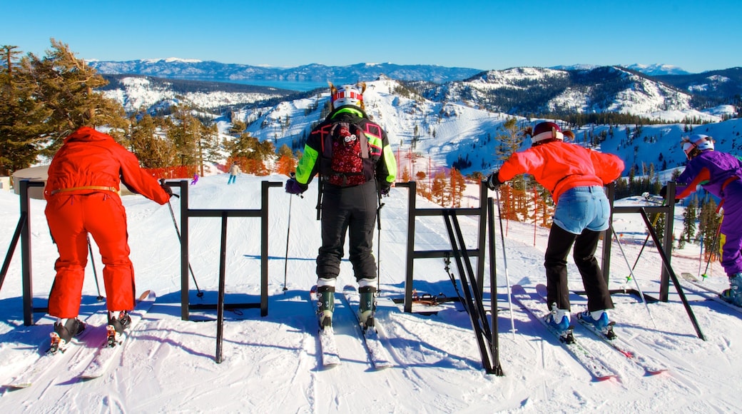 Squaw Valley Resort featuring snow, mountains and snow skiing