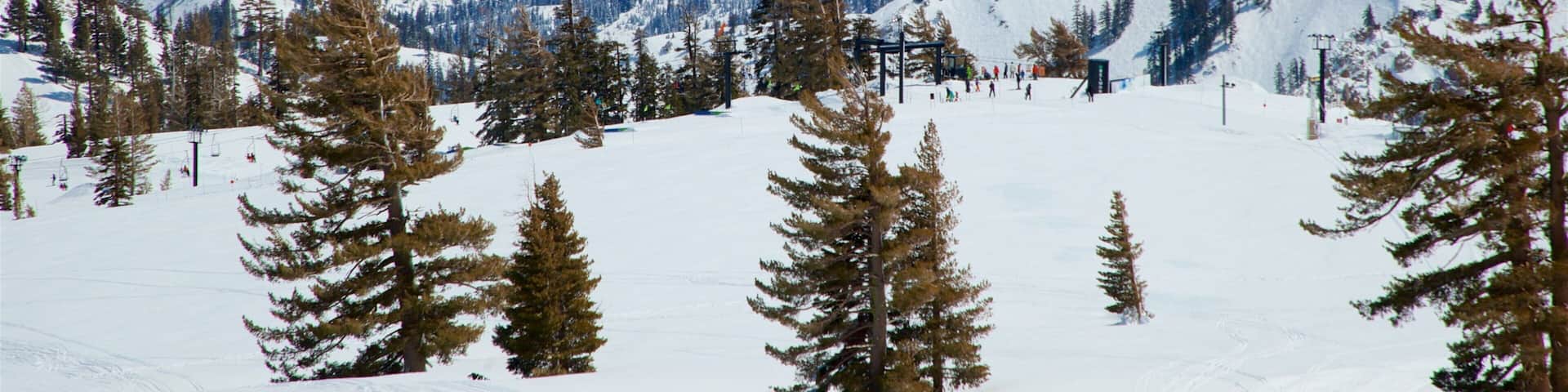 A snowy mountain landscape with a ski lift, trees, and a lake in the background.