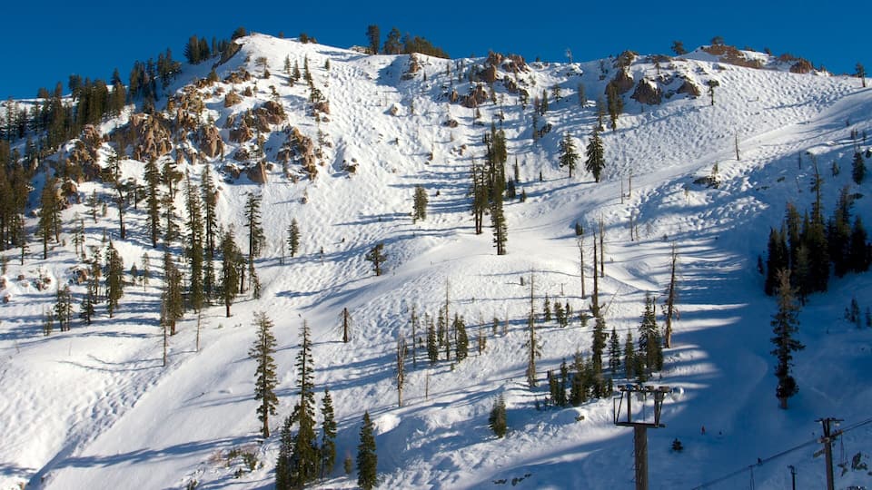 A snow-covered mountain with trees and ski lifts.