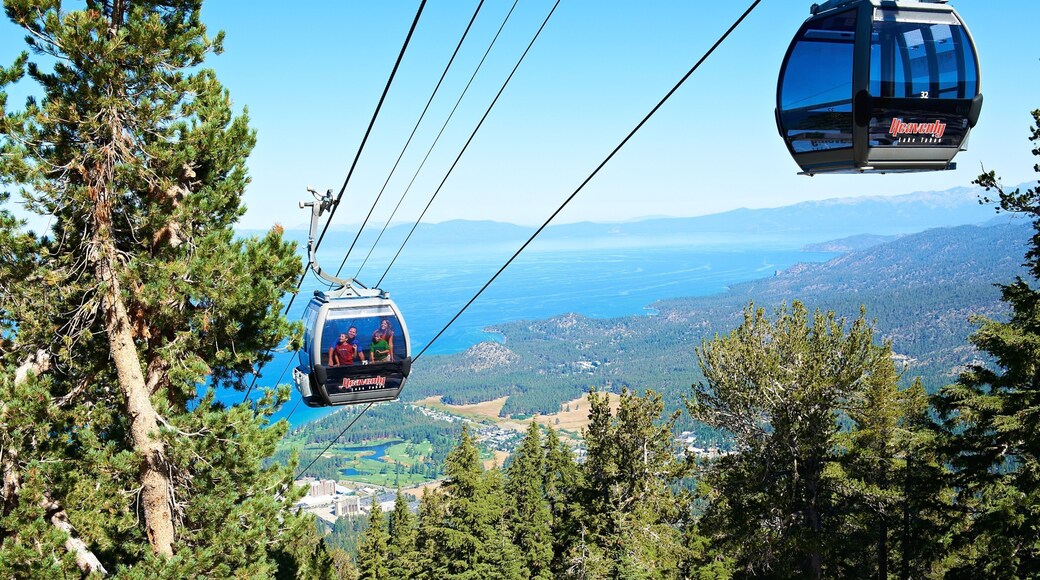 Heavenly Ski Resort which includes landscape views, forests and a gondola
