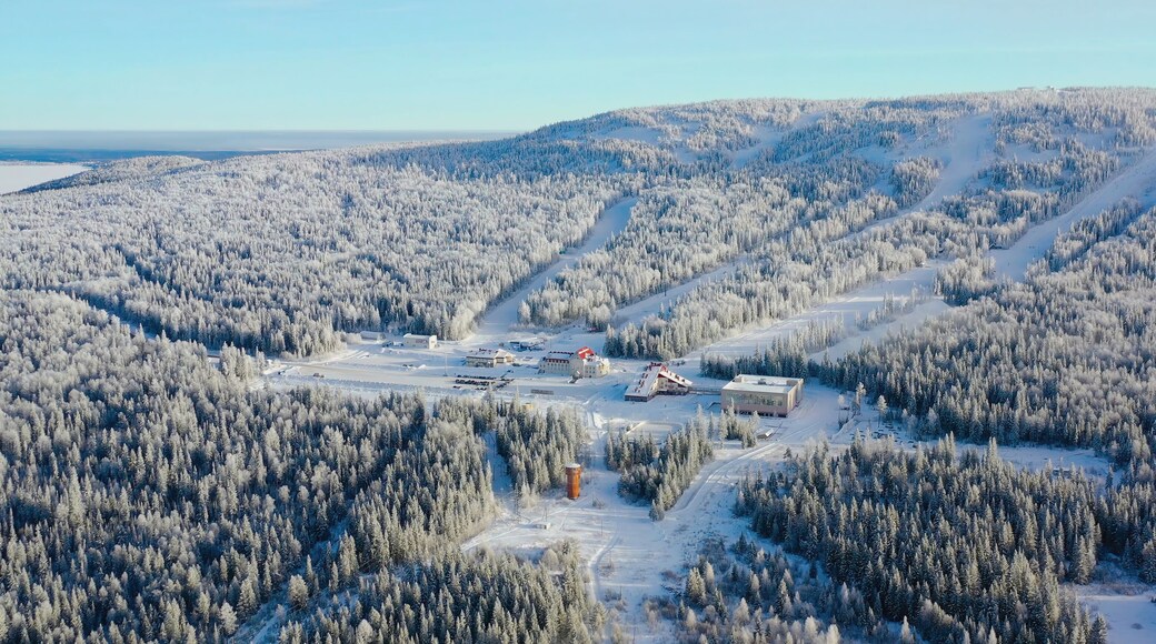 Hotel Boreal Mountain