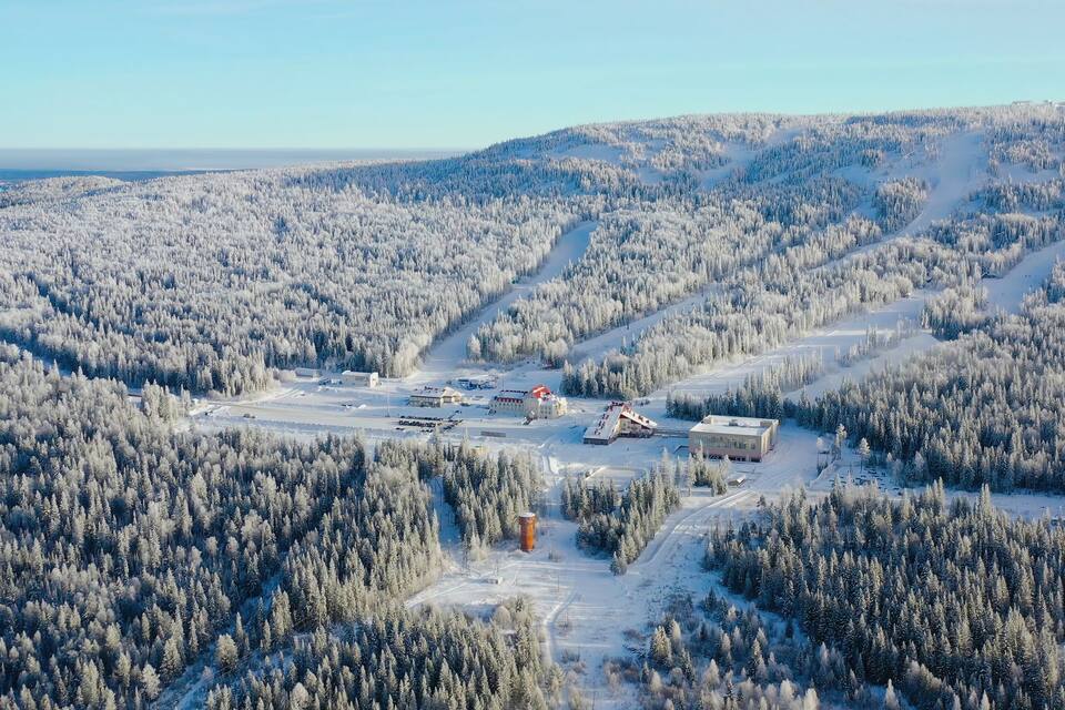 Sneklædt skov med et skiområde og bygninger.