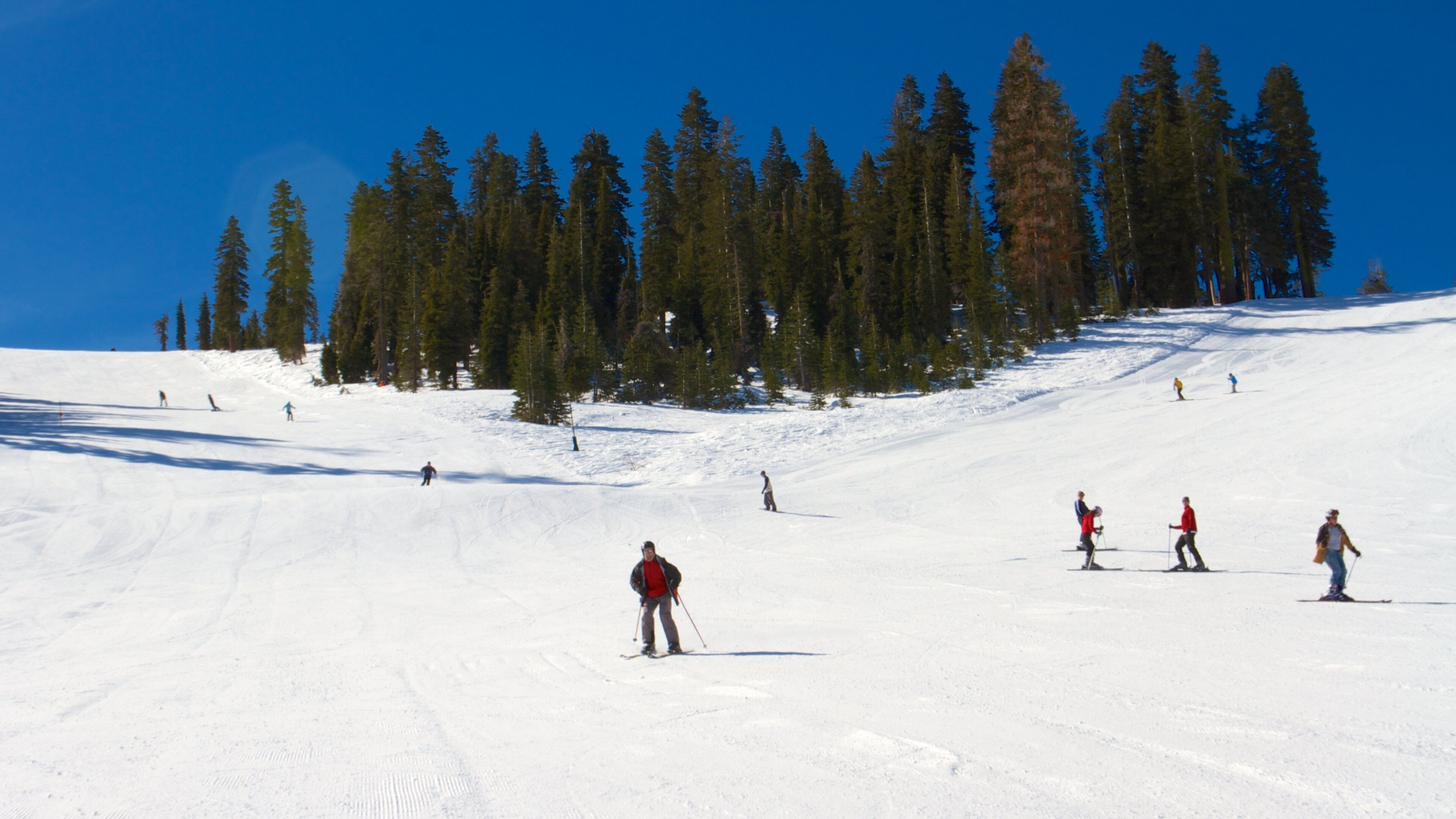 Sugar Bowl featuring mountains, snow skiing and snow