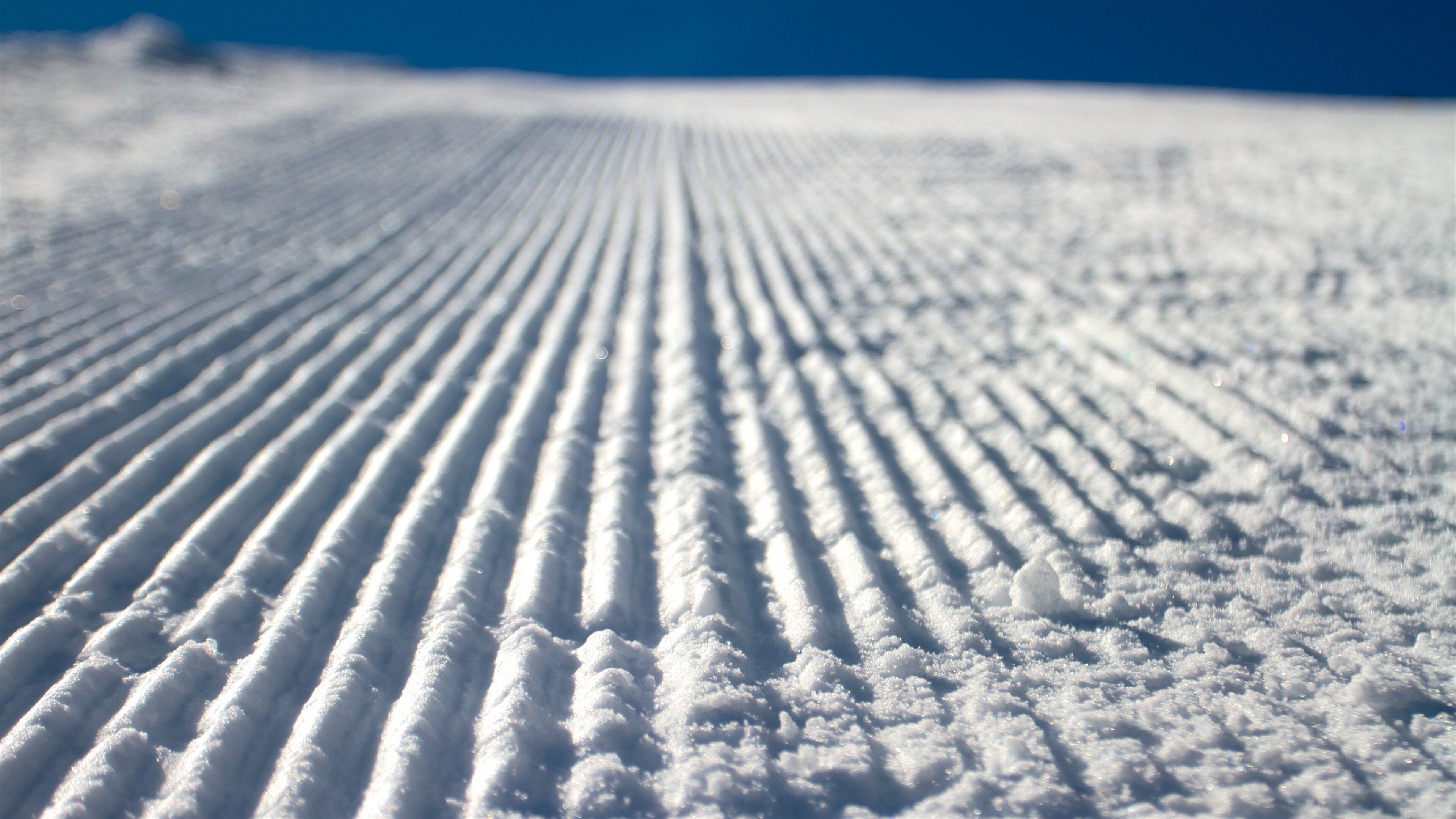 Sugar Bowl featuring snow