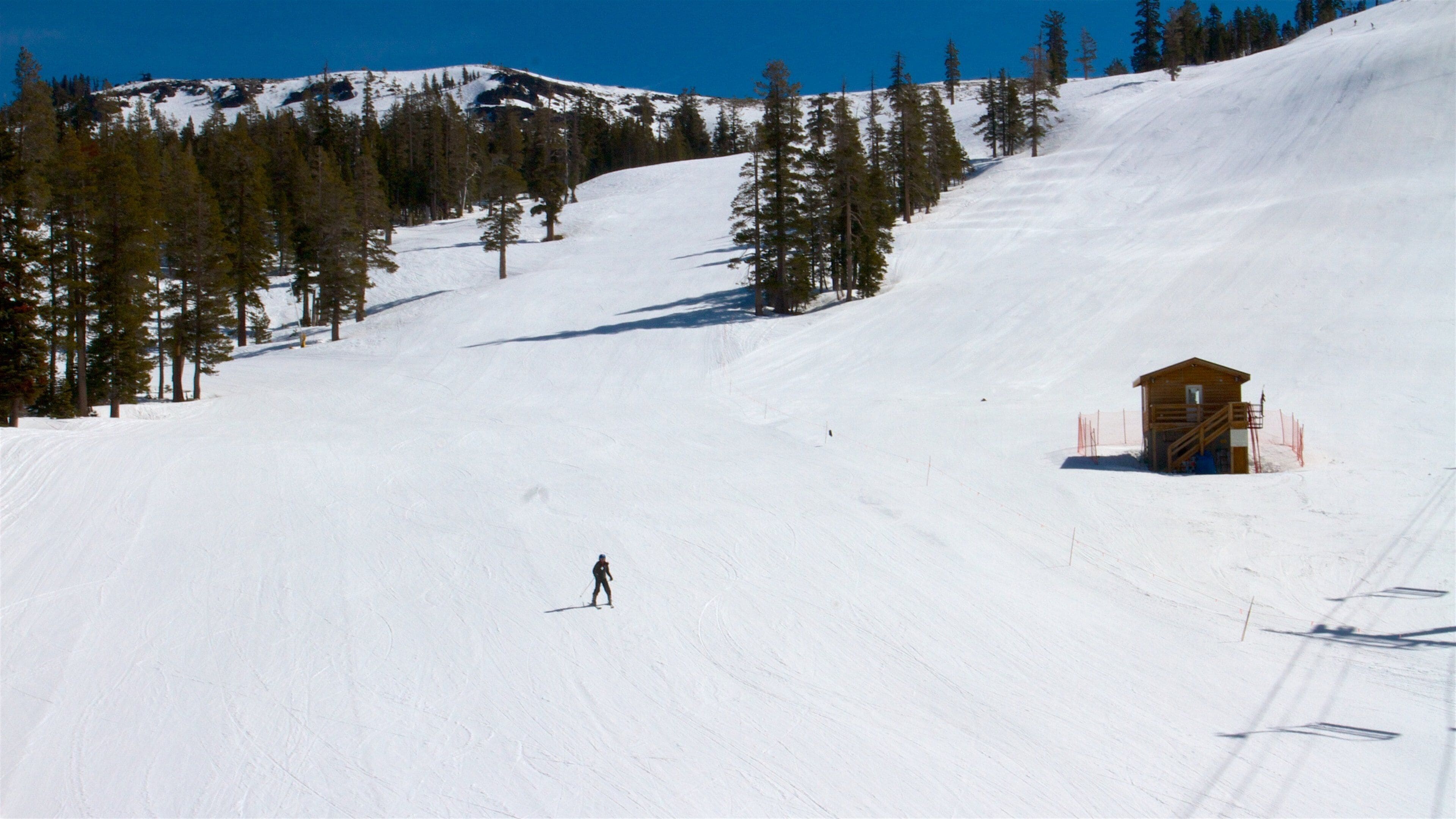 Sugar Bowl featuring mountains, snow and snow skiing