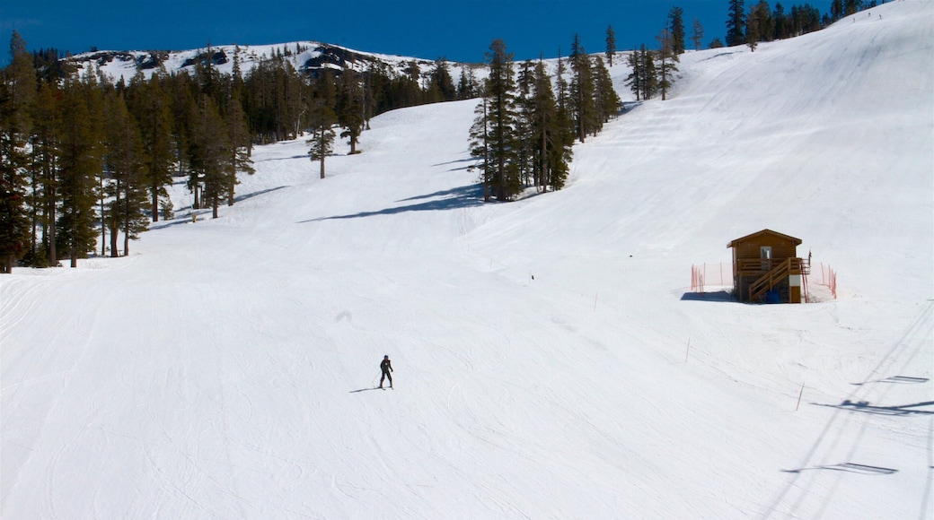 Sugar Bowl das einen Schnee, Berge und Skifahren