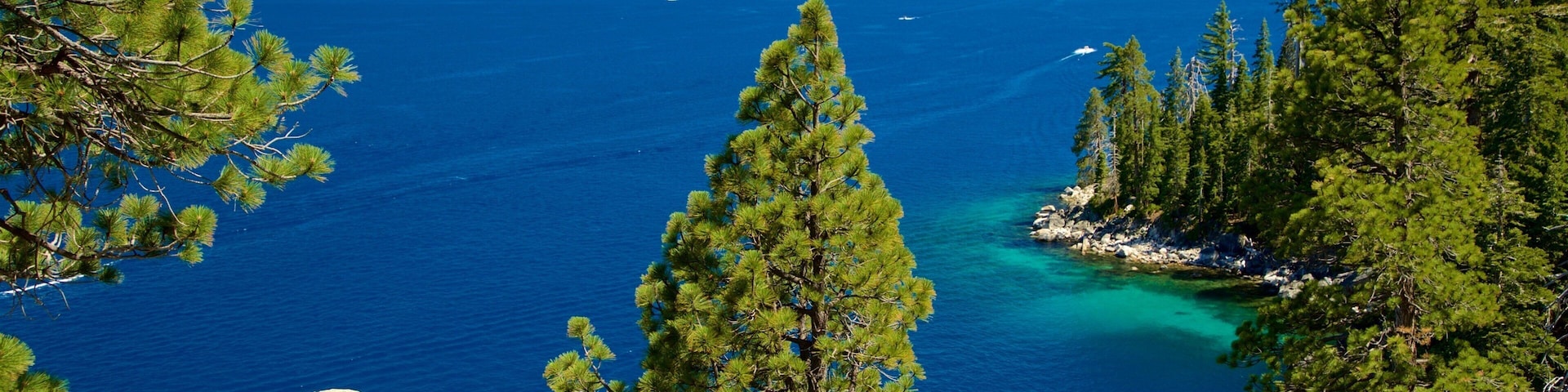 Parc d\'état D. L. Bliss qui includes lac ou étang, scènes tranquilles et panoramas