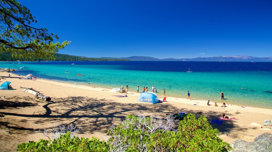 D.L. ブリス州立公園 どの含み 湖あるいは泉, ビーチ と スイミング