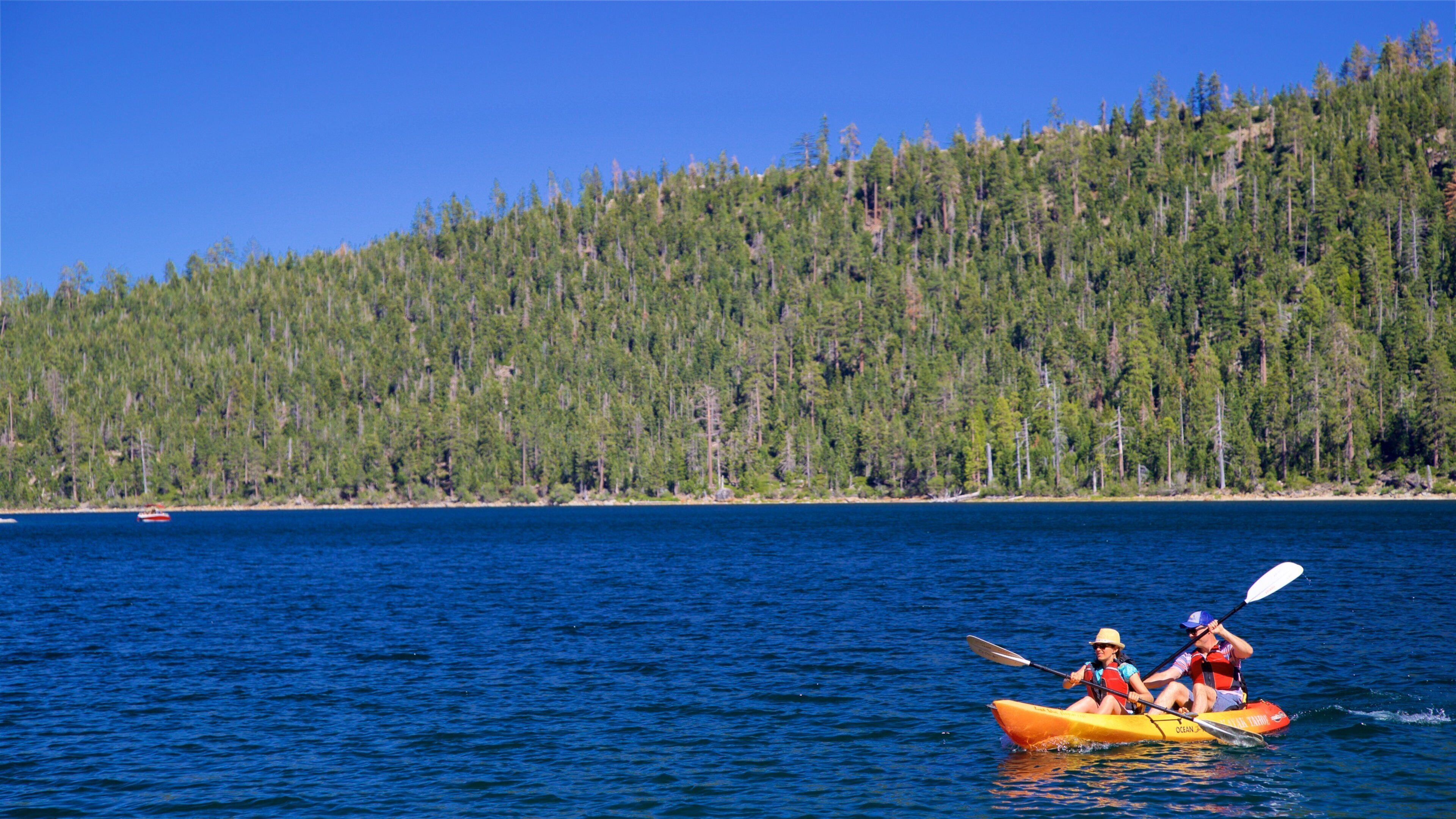 翡翠海湾州立公园