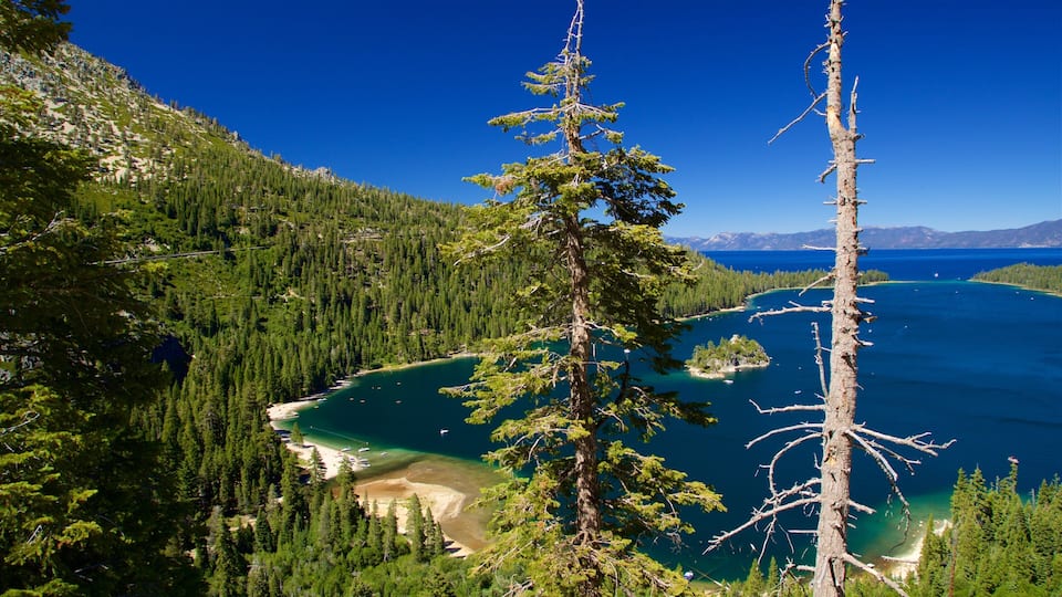 A mountainous landscape with a lake, dense forests, and a clear blue sky.