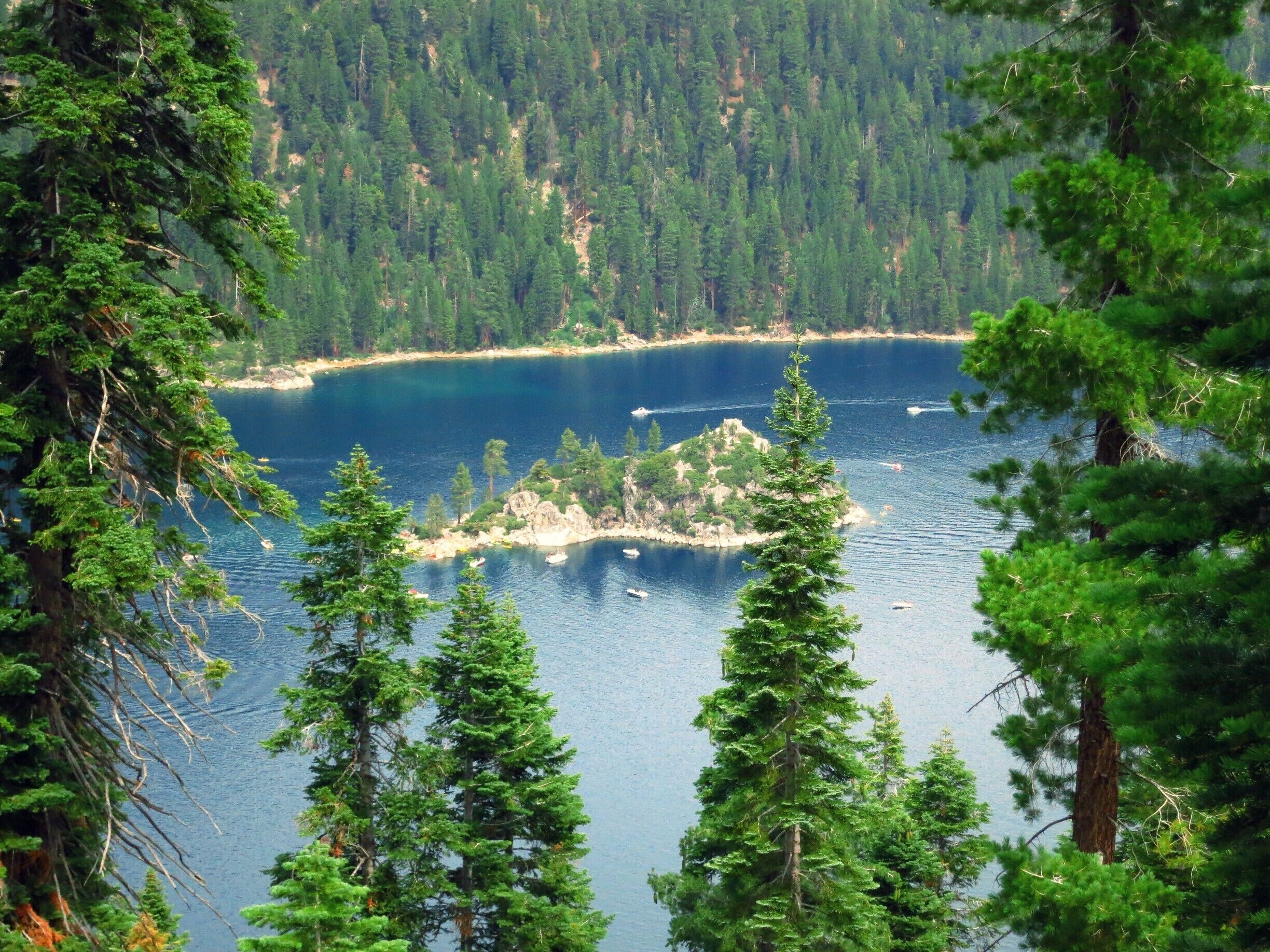 The shimmering, jewel hued waters of the aptly named Emerald Bay was a sight for sore eyes. By far the best view in Lake Tahoe! My only regret was not packing my swimsuit.. or a decent pair of walking shoes to hike down to Vikingsholm.

[August '14]