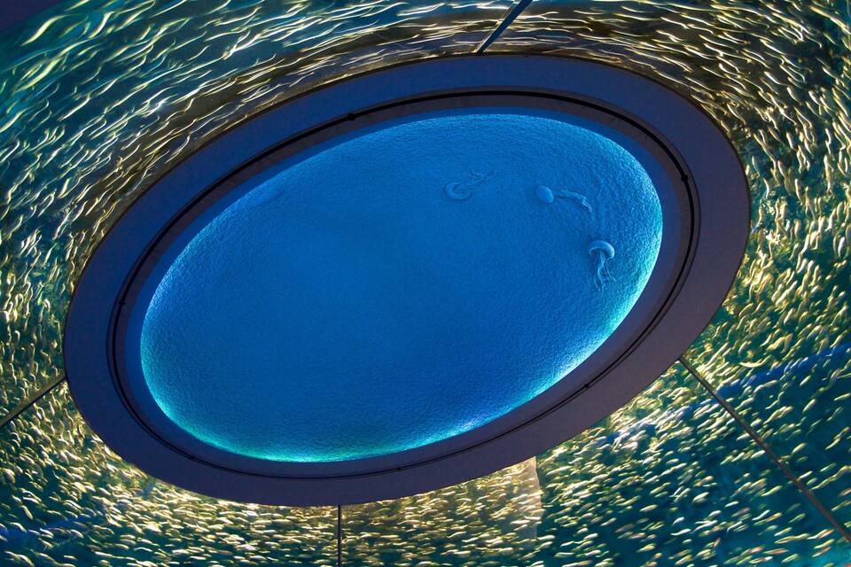 Uma estrutura circular de vidro com centro azul e exterior padronizado.