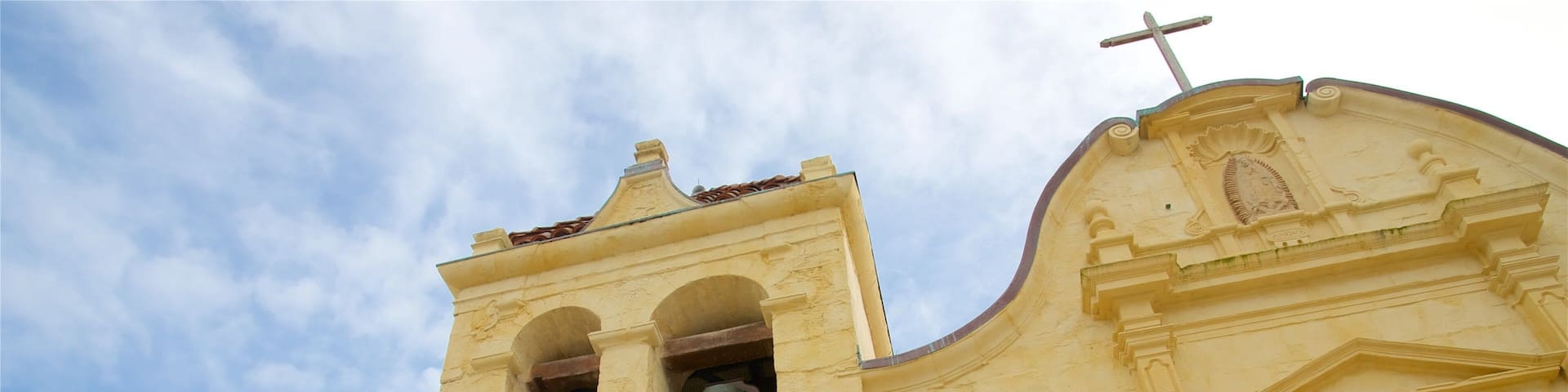 San Carlos Cathedral showing a church or cathedral