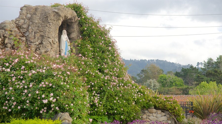 Cathedral of San Carlos Borromeo featuring a garden