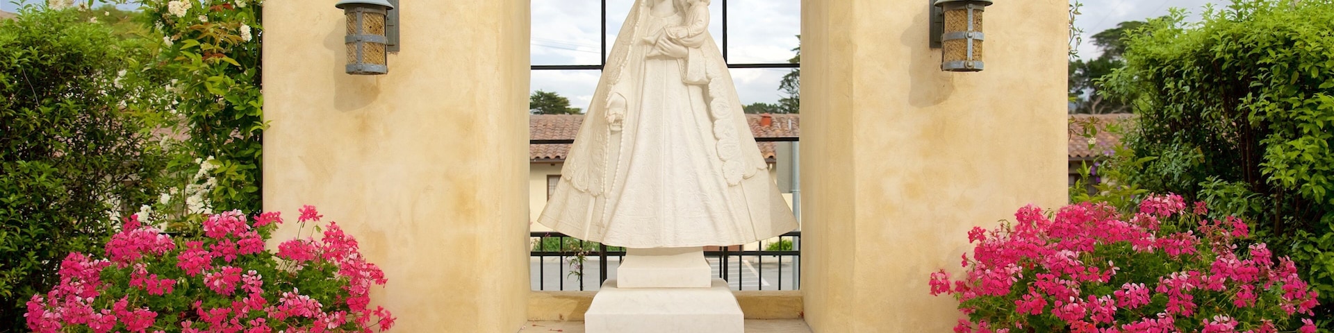 Catedral de San Carlos Borromeo mostrando elementos de patrimônio, um monumento e flores