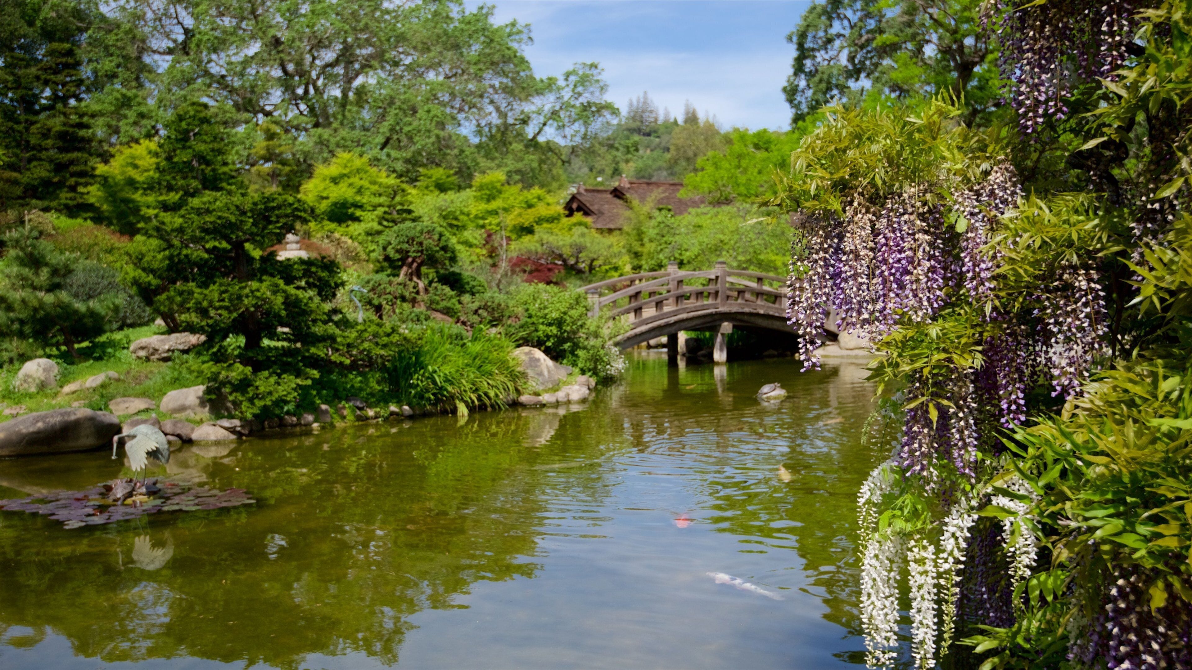 箱根ガーデン 表示 庭園