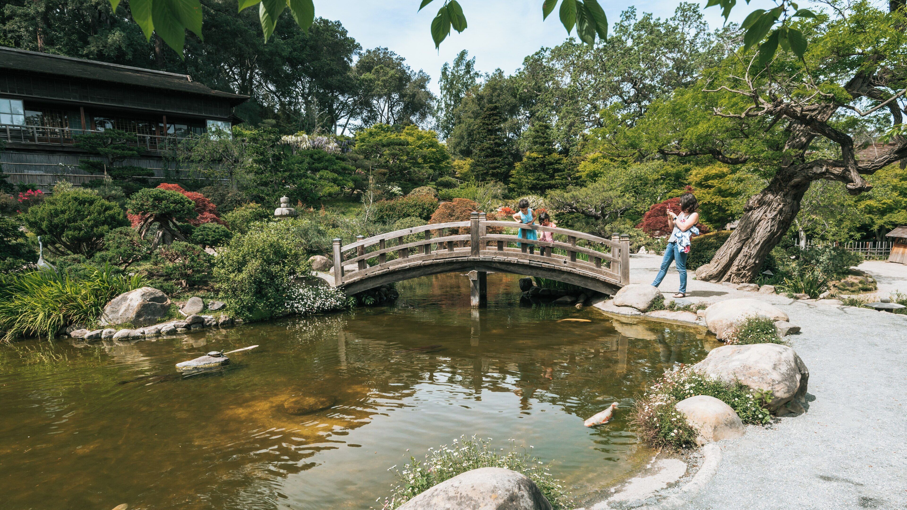 Beautiful spring day at Hakone Gardens in Saratoga, California, showcasing serene landscapes and people enjoying nature