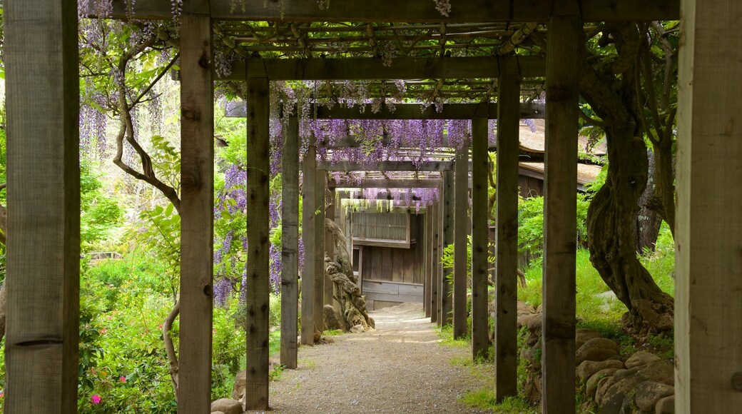 箱根ガーデン フィーチャー 庭園