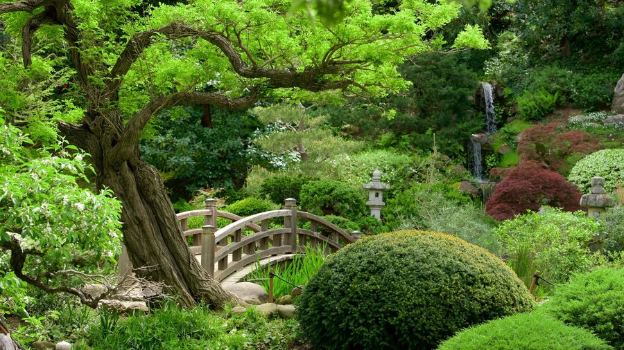Hakone Gardens featuring a park
