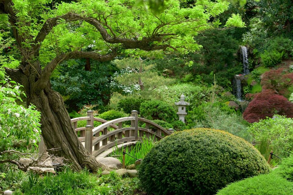 A lush garden with a wooden bridge, a large tree, and a waterfall.