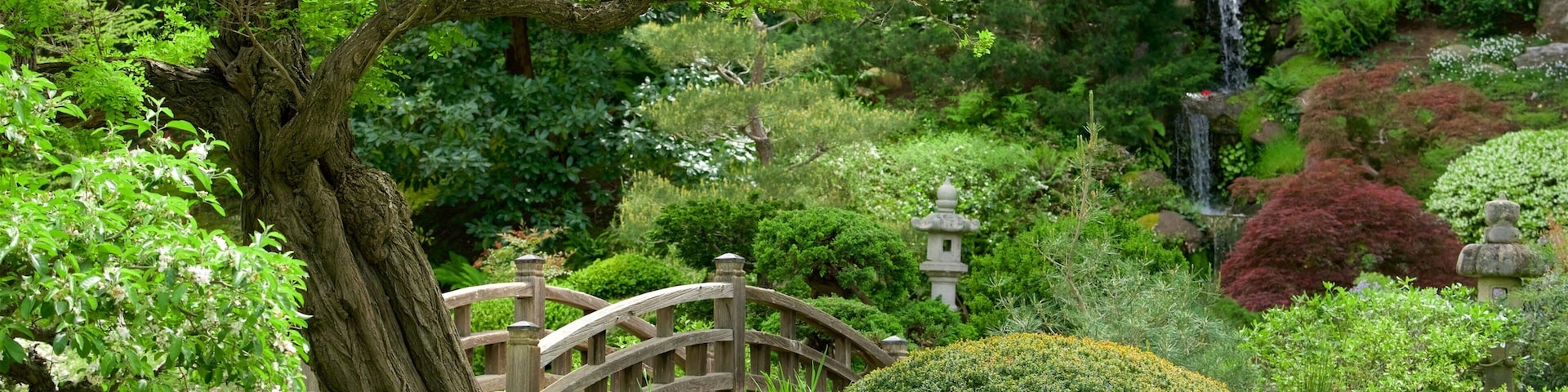 Hakone Gardens featuring a park