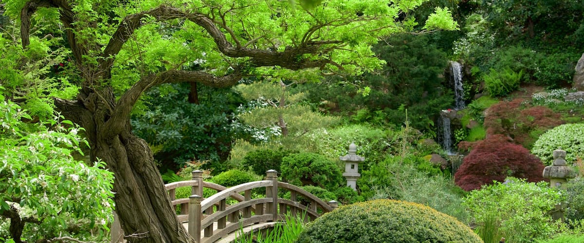 Hakone Gardens which includes a park