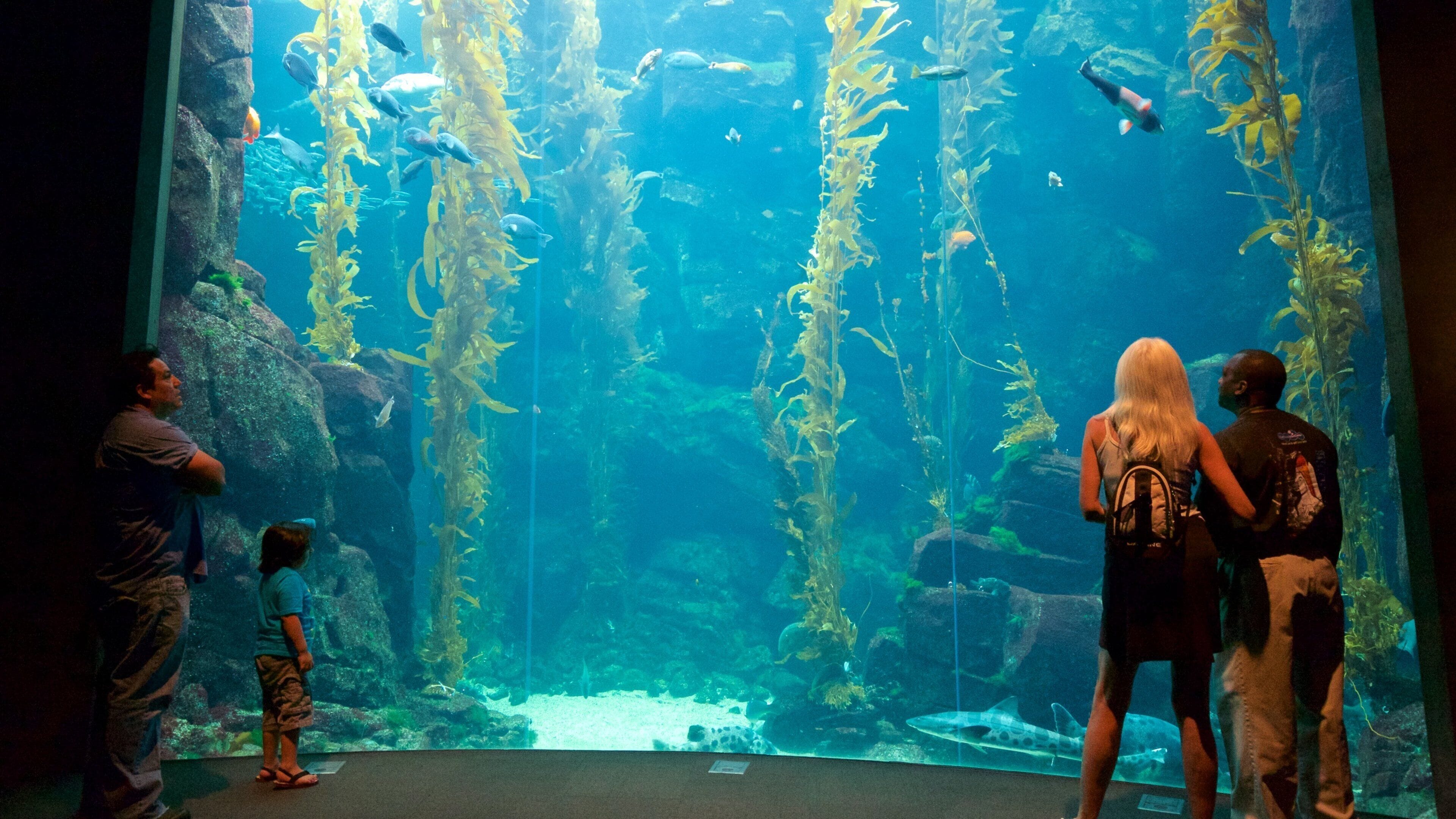 California Science Center featuring interior views and marine life