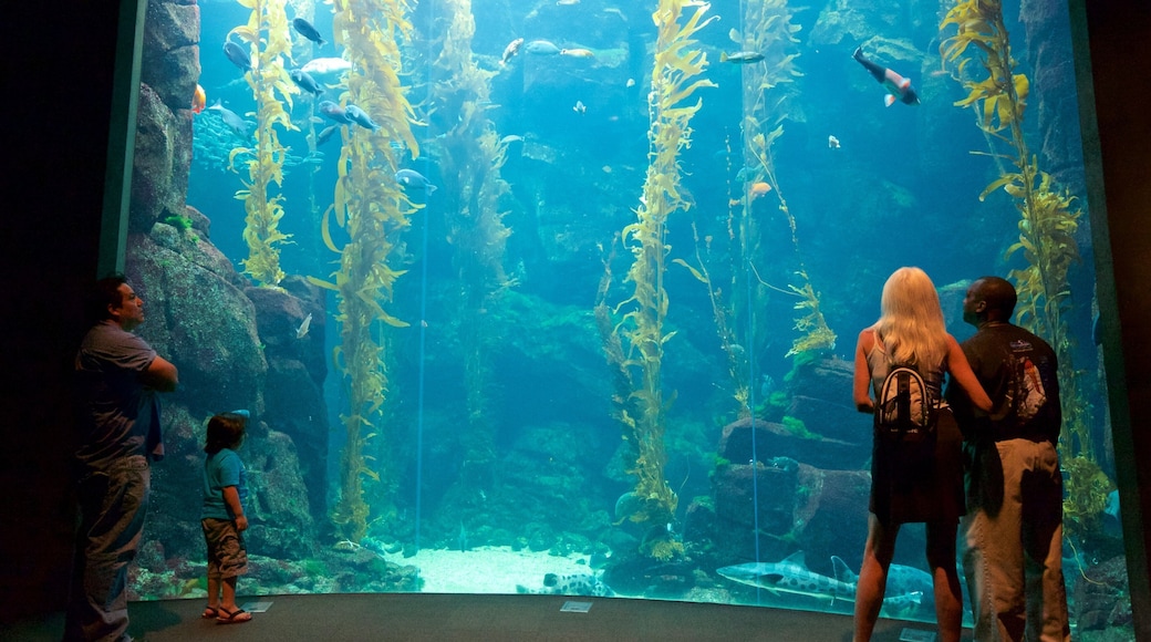 California Science Center featuring interior views and marine life