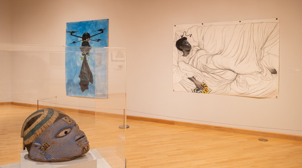 California African American Museum which includes art and interior views