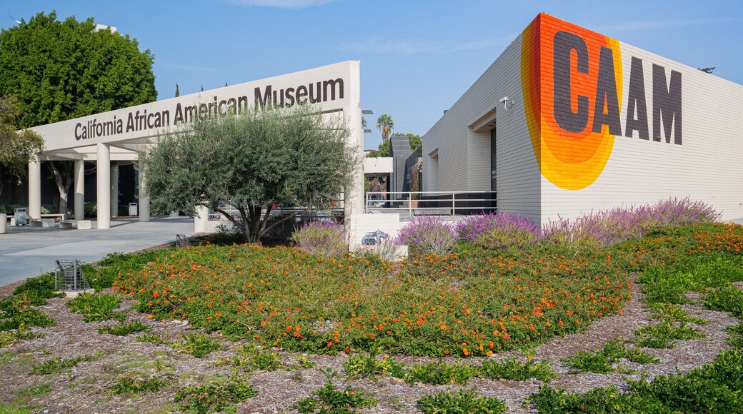 California African American Museum showing signage, wildflowers and a park