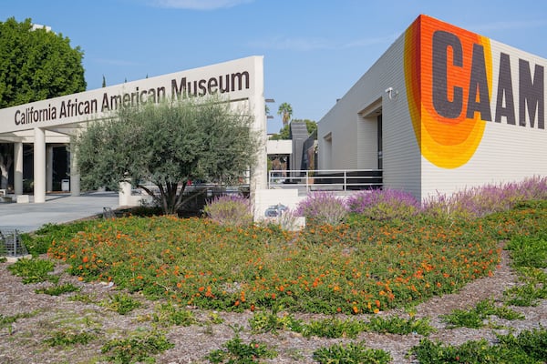 California African American Museum showing signage, wildflowers and a park