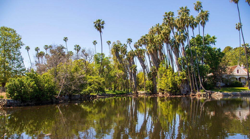 A lagoon in a gorgeous spring landscape at the Los Angeles County Arboretum and Botanic Garden in Arcadia California USA