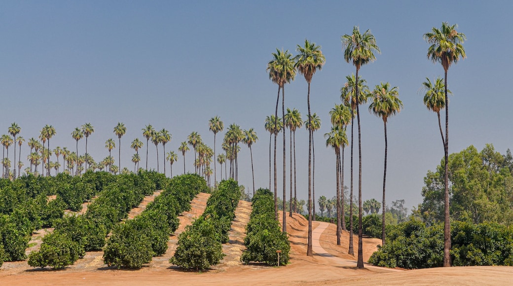 Citrus State Historic Park