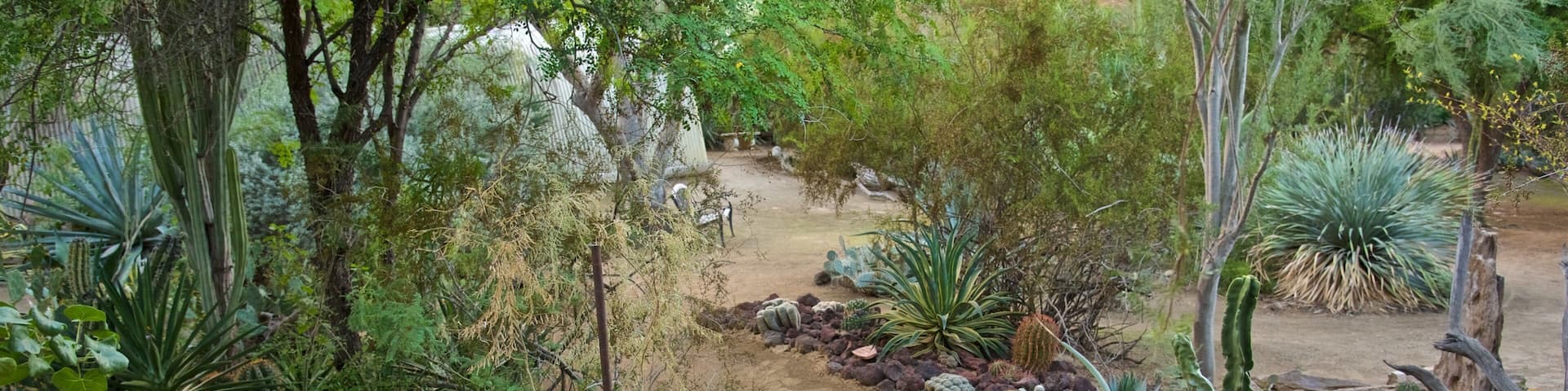 Moorten Botanical Garden and Cactarium featuring a park