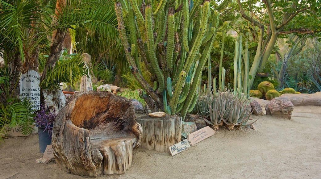 Moorten Botanical Garden and Cactarium which includes a garden and desert views