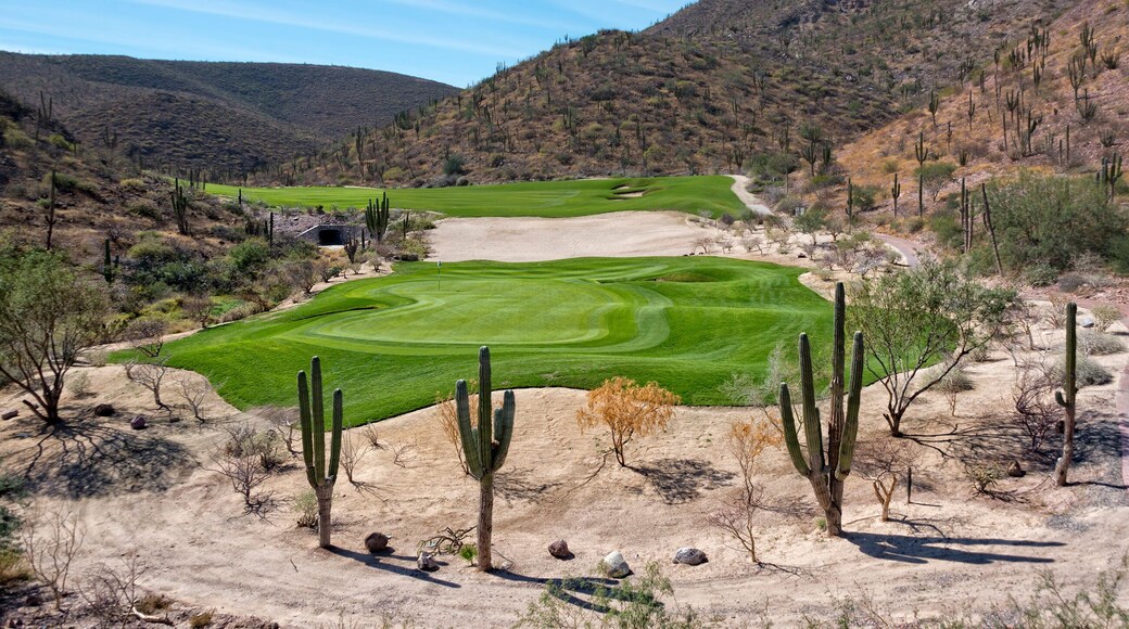 Palm Desert Country Club