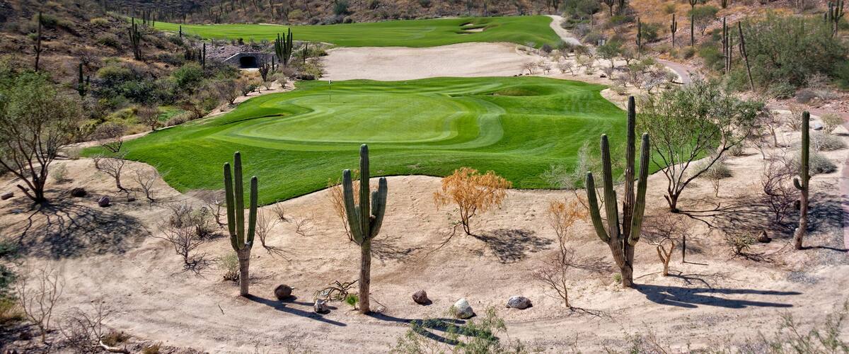 desert golf course green