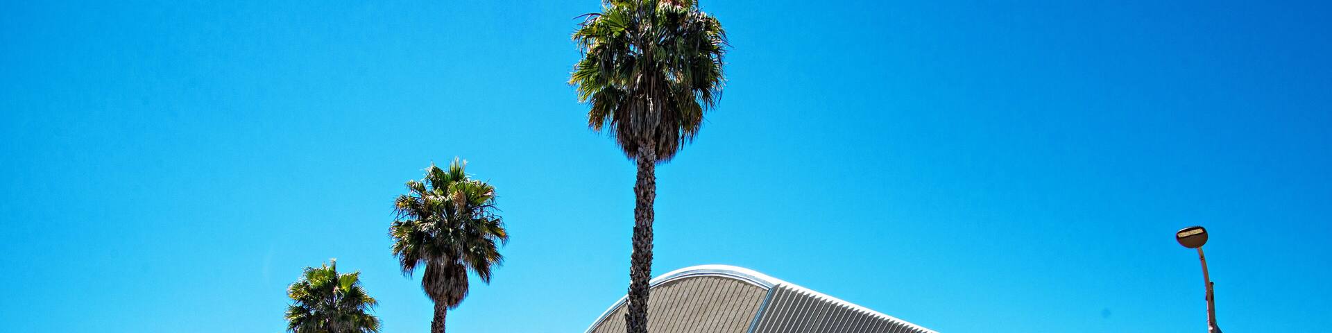 SanLuisObispo_CaliforniaPolytechnicStateUniversity_6063425_06