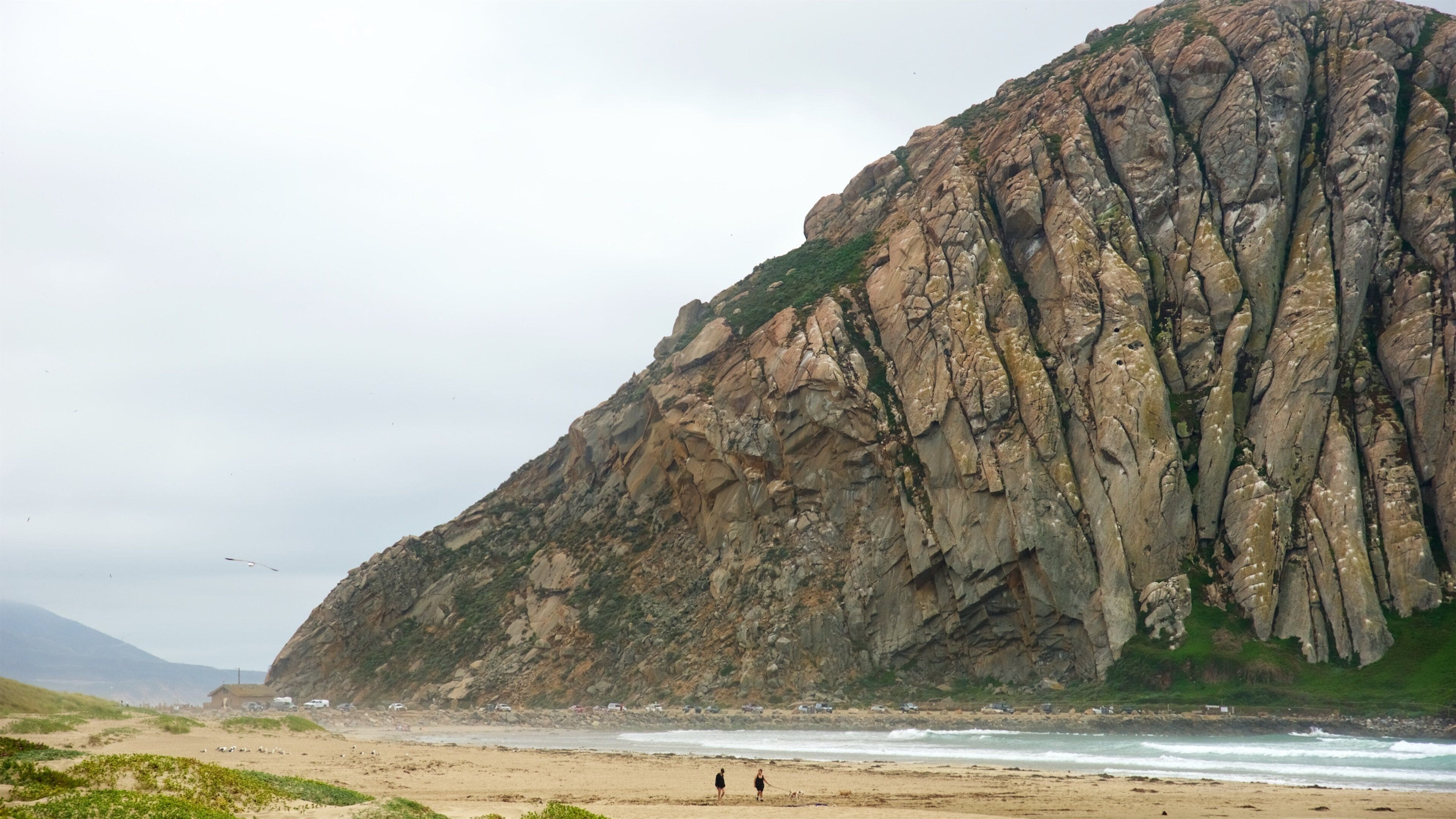 Morro Rock featuring general coastal views, a beach and mountains